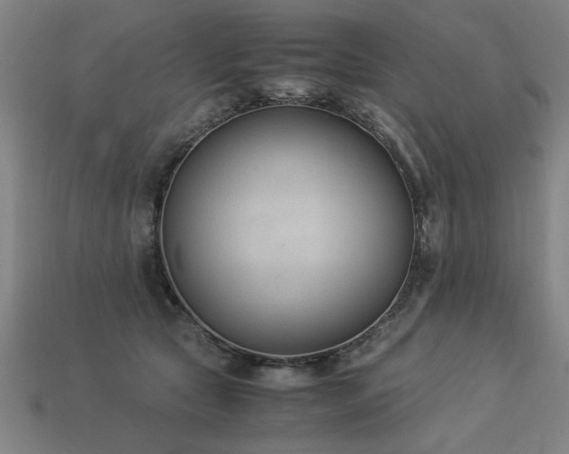X0000113950561200909251341