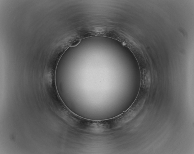 X0000113950562200909251341