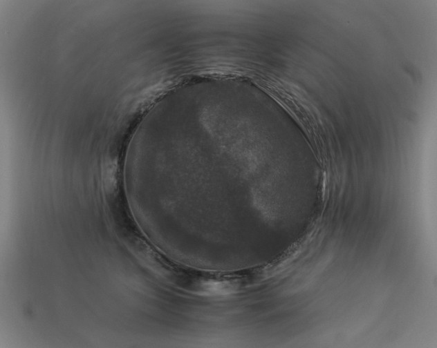 X0000113950563200909251341