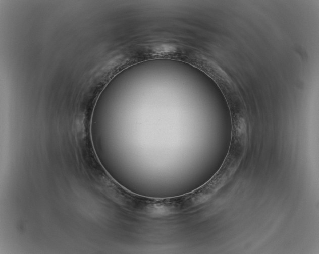 X0000113950565200909251341