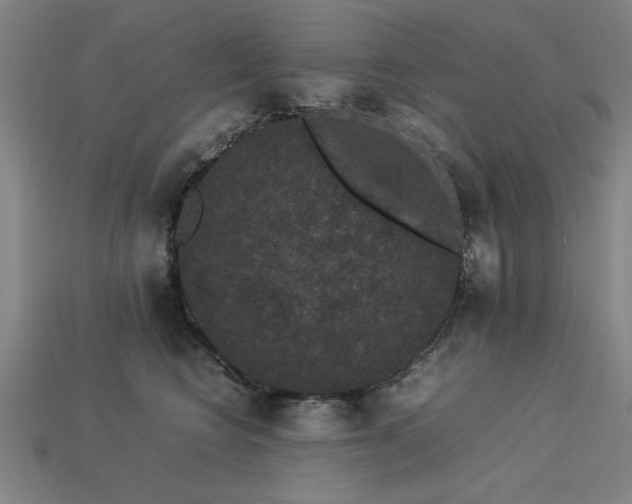 X0000113950566200909251341