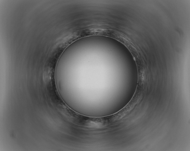 X0000113950567200909251341