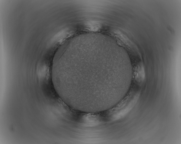 X0000113950568200909251341
