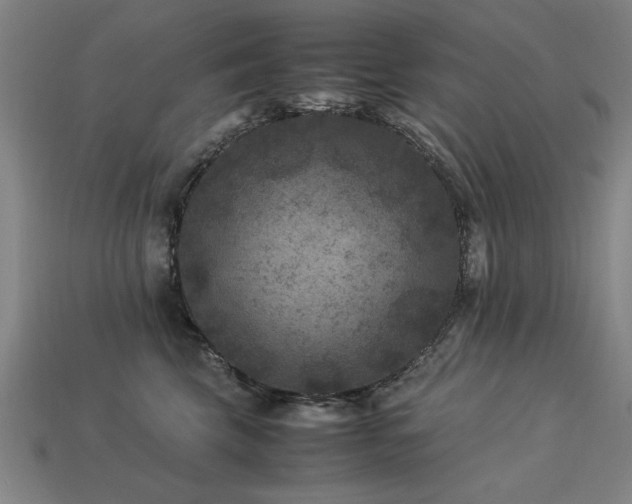 X0000113950569200909251341
