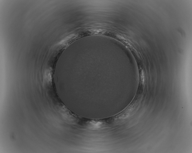 X0000113950570200909251341
