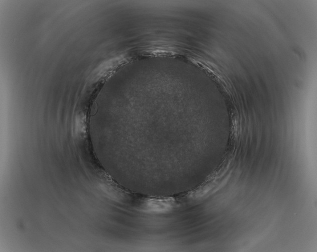 X0000113950571200909251341