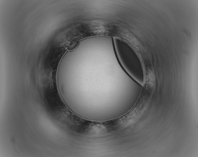 X0000113950572200909251341