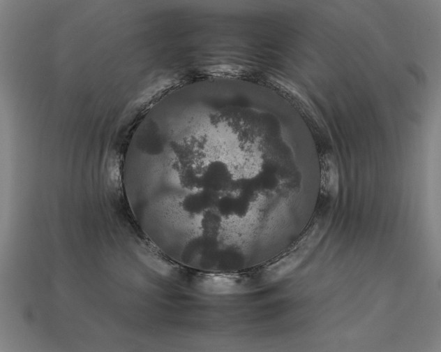 X0000113950573200909251341