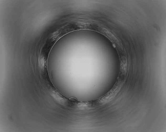 X0000113950574200909251341