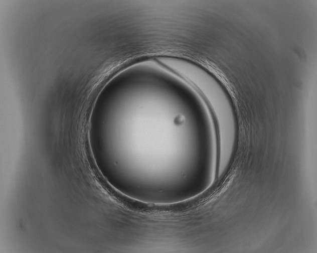 X0000113950577200909251340