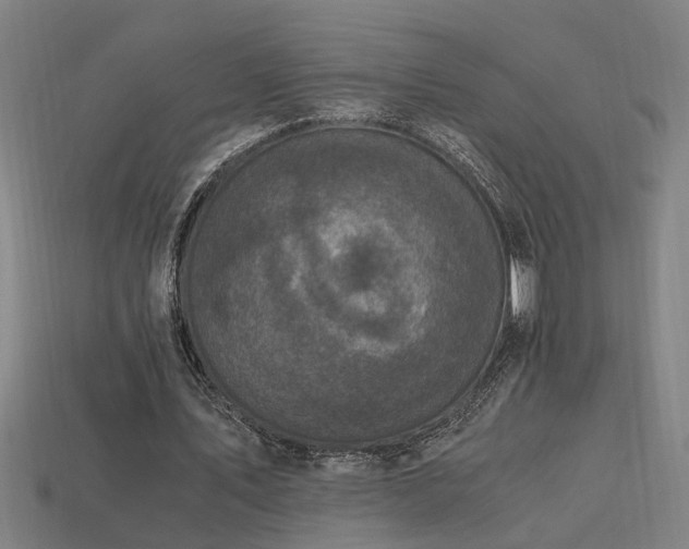 X0000113950579200909251340
