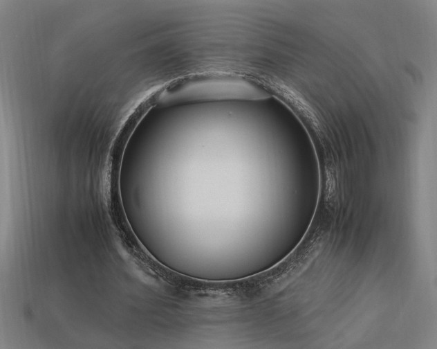 X0000113950580200909251340