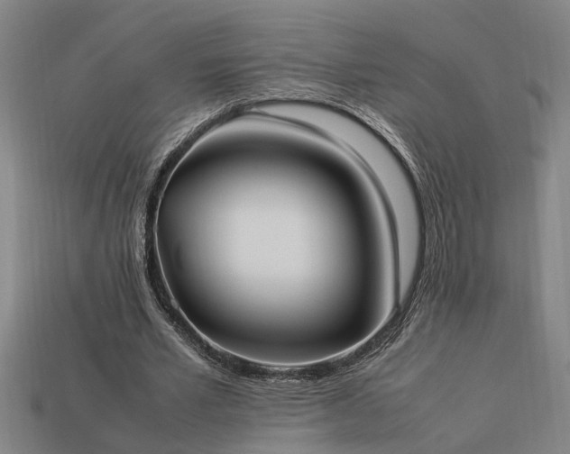 X0000113950581200909251340
