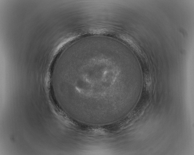X0000113950583200909251340