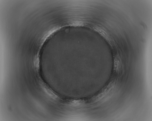 X0000113950584200909251340