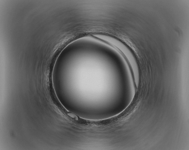 X0000113950585200909251340