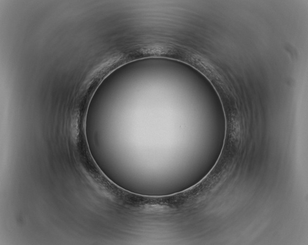 X0000113950586200909251340