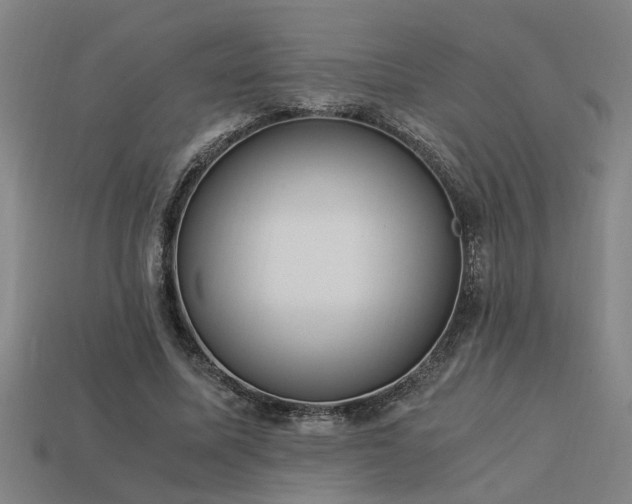 X0000113950587200909251340