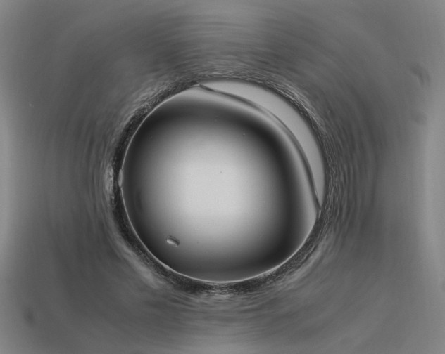 X0000113950589200909251340