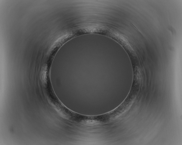 X0000113950590200909251340