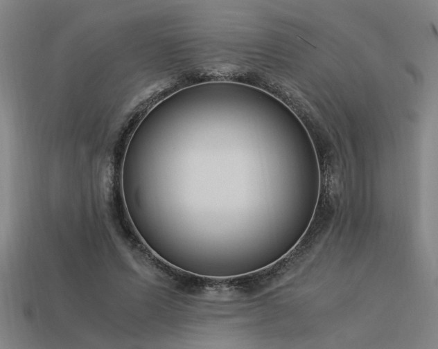 X0000113950591200909251340