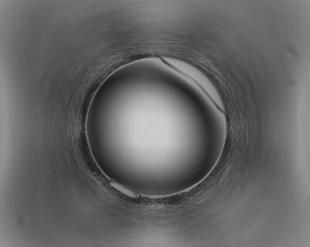 X0000113950593200909251340