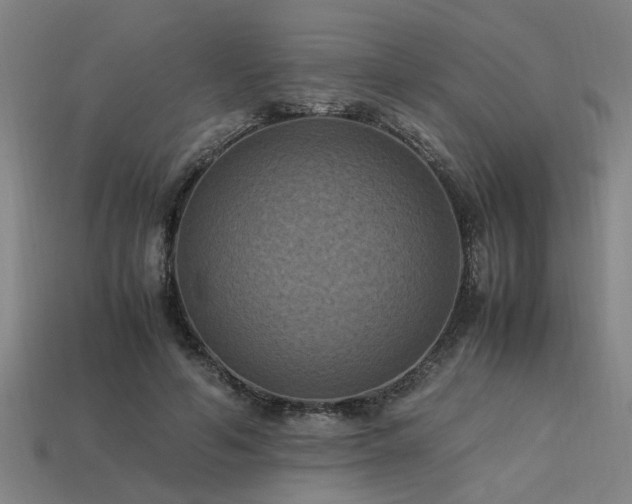 X0000113950594200909251340