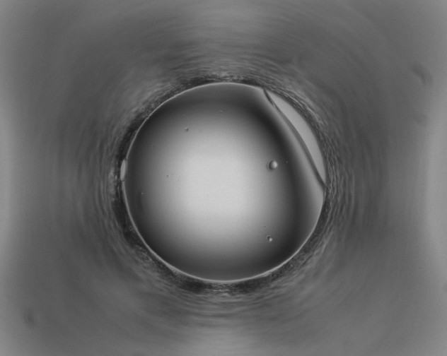 X0000113950597200909251340