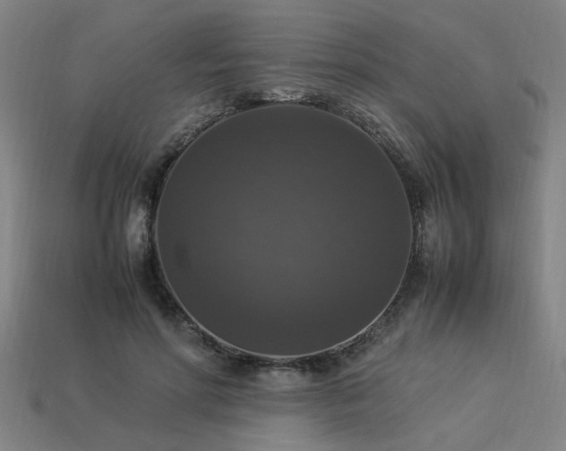 X0000113950598200909251340