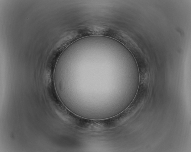 X0000113950599200909251340