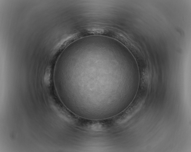 X0000113950600200909251340