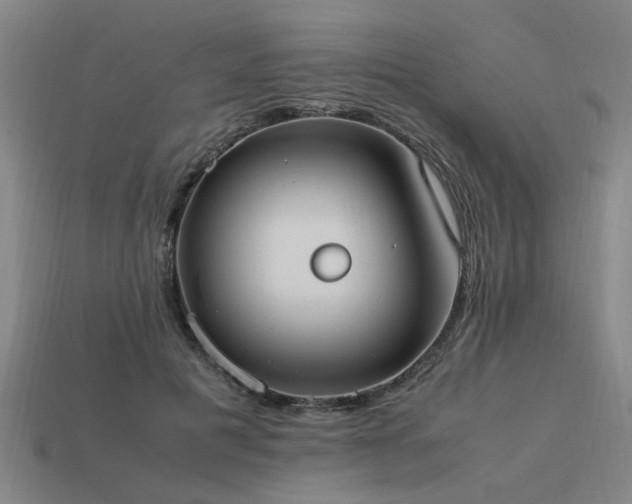 X0000113950601200909251340