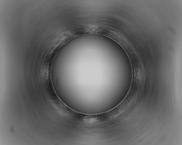 X0000113950602200909251340