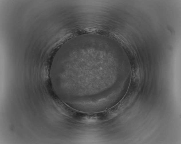 X0000113950606200909251340