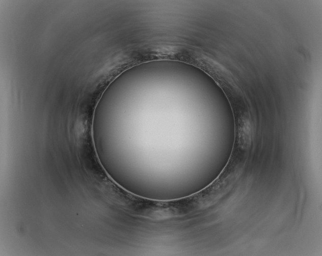 X0000113950608200909251340