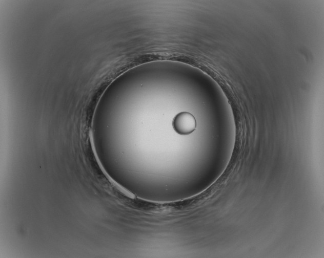 X0000113950609200909251340