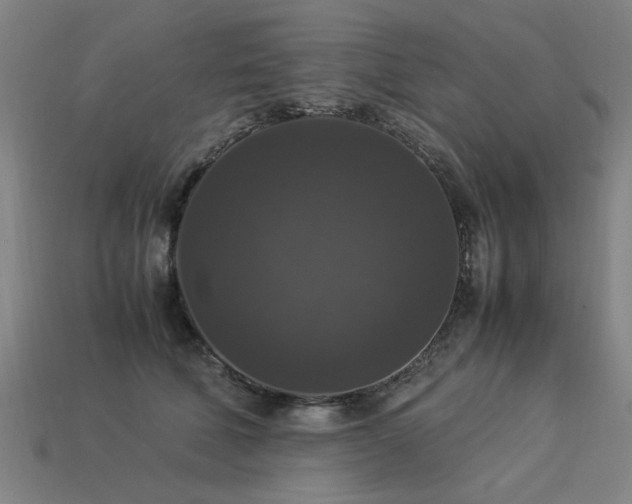 X0000113950610200909251340