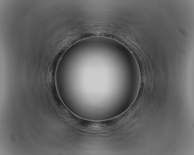 X0000113950611200909251340