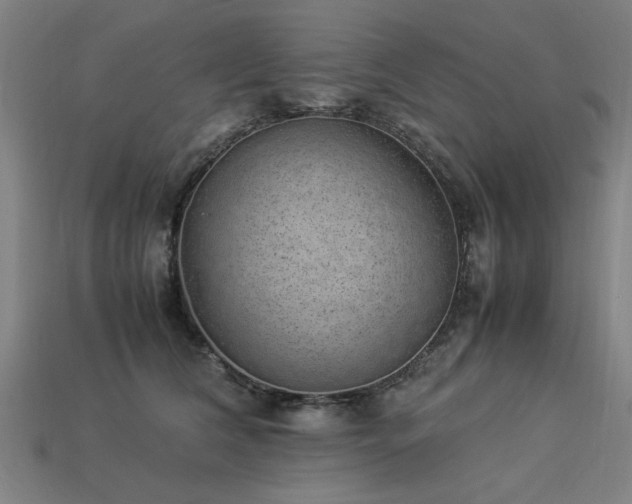 X0000113950612200909251340