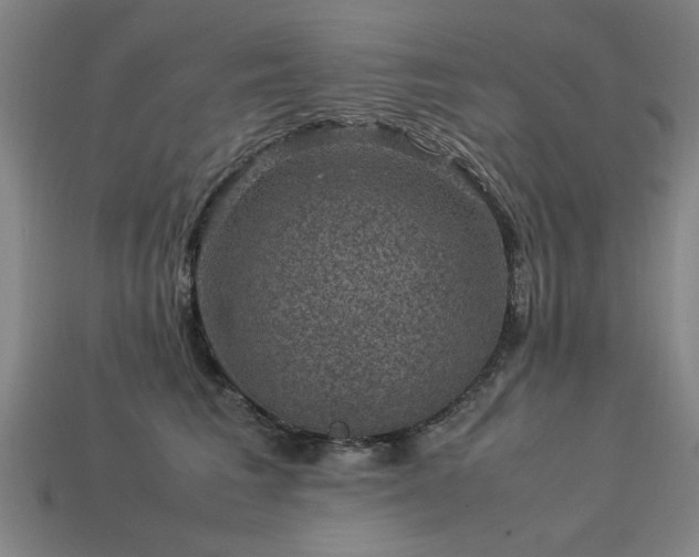 X0000113950613200909251340