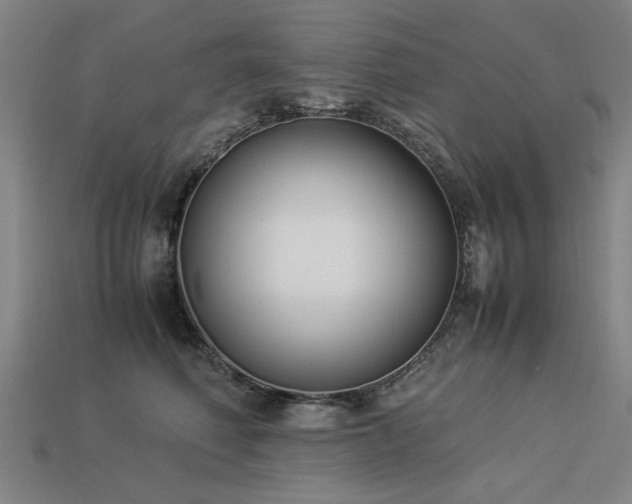 X0000113950614200909251340