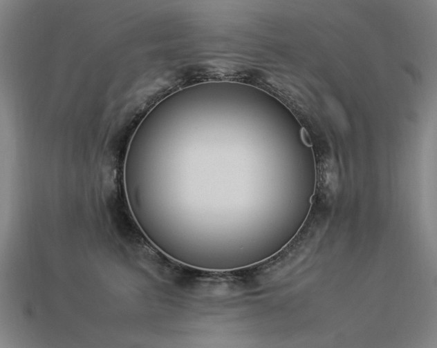 X0000113950615200909251340