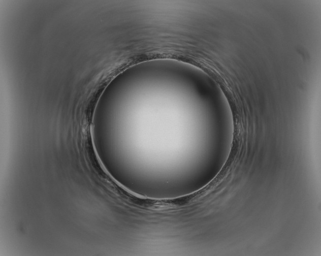 X0000113950617200909251340