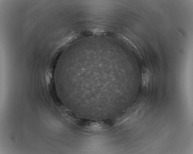 X0000113950618200909251340