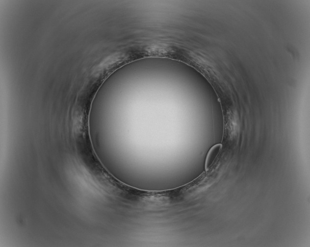 X0000113950619200909251340