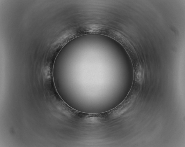 X0000113950620200909251340