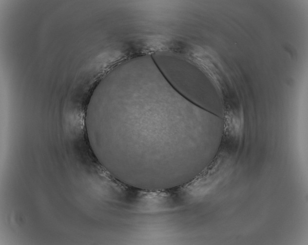 X0000113950621200909251340