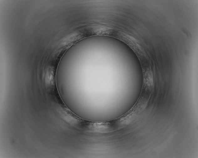 X0000113950622200909251340