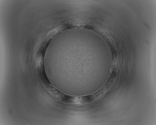 X0000113950623200909251340