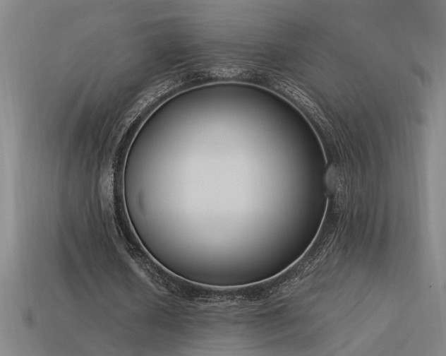 X0000113950626200909251339